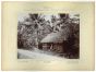 Ceylon - Kandy - 7 Janner 1893 by prince Franz Ferdinand von Osterreich Este  - Artwork