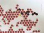 Red Circles