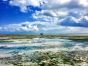 Cindi Emond - Climate Change - Author's Photographs