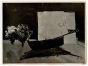 Photograph of a Painting by Beppe Guzzi