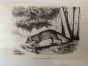 The Hunting Fox