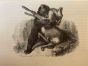 The Hunting Bear - SOLD