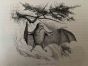 The Bat