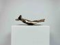 Bowl “SHELL - CONCHIGLIA” in Bronze