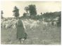The Old Days - Shepherd