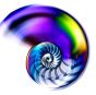 Nautilus #1