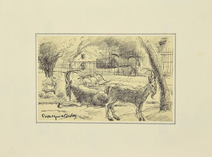 Animals in the Enclosure by Mogniat-Duclos Bertrand - Modern Artworks