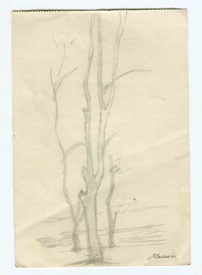 The Trees