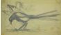 Sketch