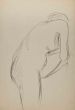 The Posing Nude