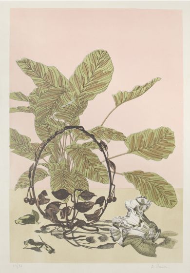 Vegetation by R.Prioni