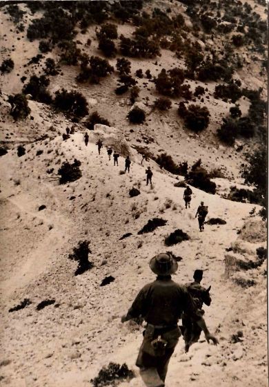 Military in Algeria, Historical Photograph - SOLD