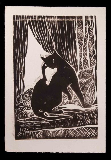 Black Cat by the Window