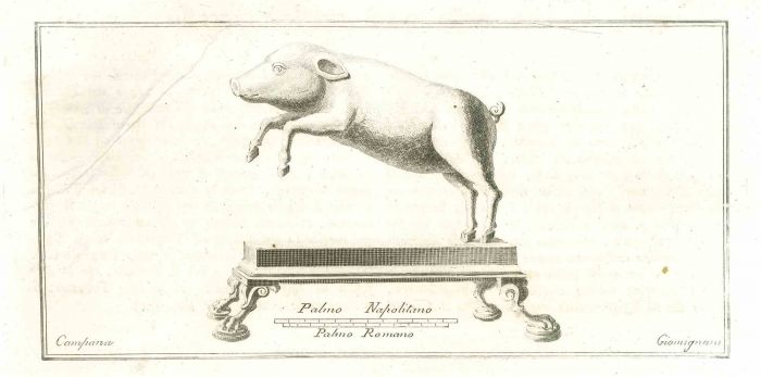 Ancient Roman Pig - Vincenzo Campana - Old Master's Artwork