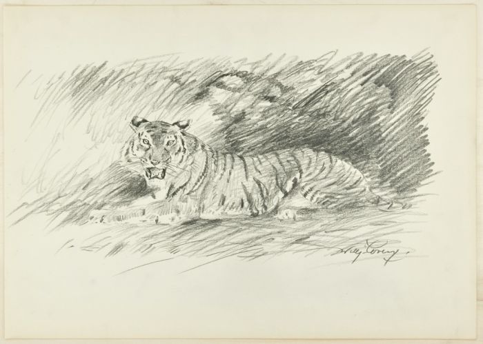 Roaring Tiger by Wilhelm Lorenz - Modern Artwork