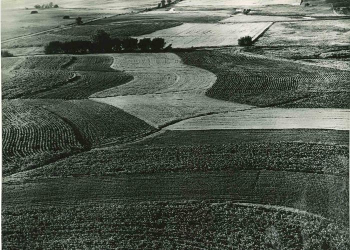 Leadership in Agricultural Production - American Vintage Photograph