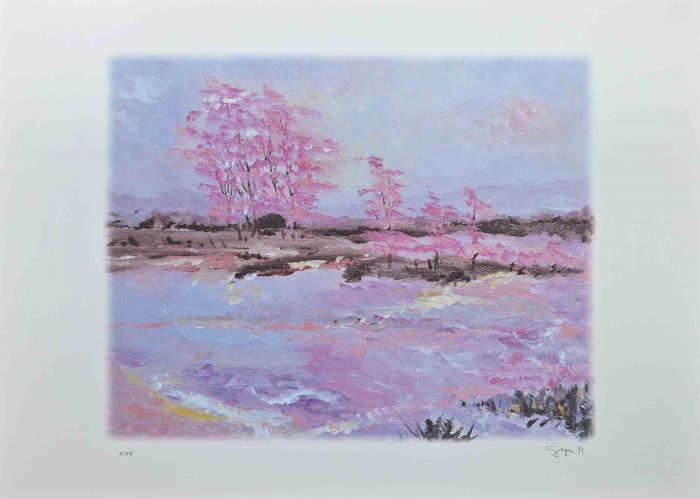 Pink Blossoms   