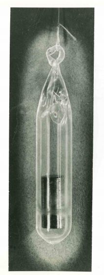 Forgotten Elements - American Vintage Photograph