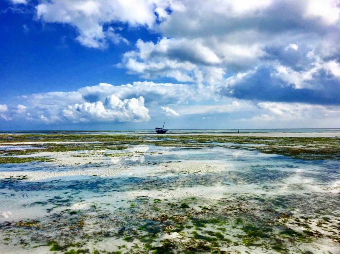 Cindi Emond - Climate Change - Author's Photographs