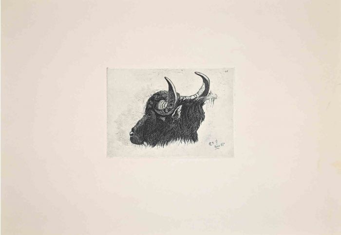 The Bull  in the Roman Countryside