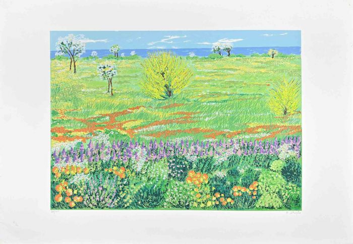 Meadow in Spring