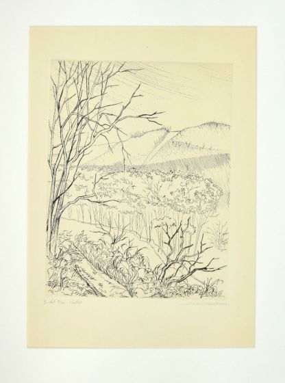 The valley is by Andre Roland Brudieux - Artwork