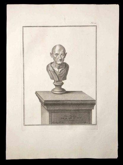Ancient Roman Bust