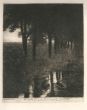 Forellenweiher by Franz von Stuck - Modern art