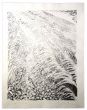 Fieldi by Pericle Fazzini - Contemporary Artwork