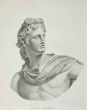 Portrait of Apollo Belvidere - SOLD