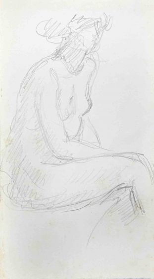 The Posing Nude   