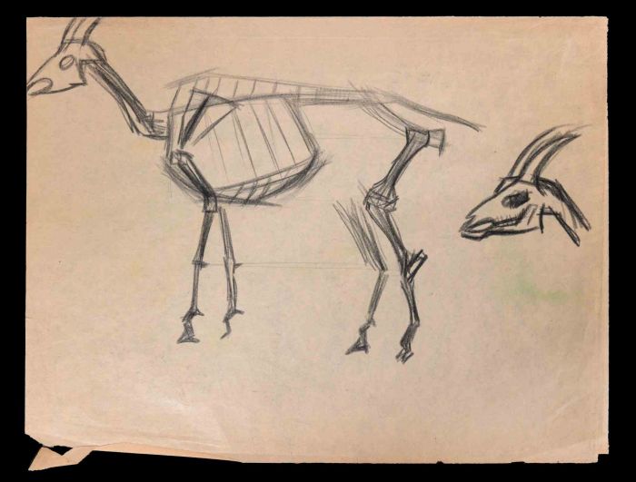 The Goat Skeleton
