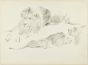 Study of Lions
