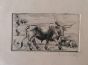 Bulls - Modern Artworks 