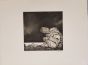 Enrique Marin, Trevignon, Etching, 1972, Modern Art Artwork, Moderna Art