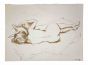 Female Figure