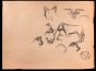 Cat, Dog and Goat