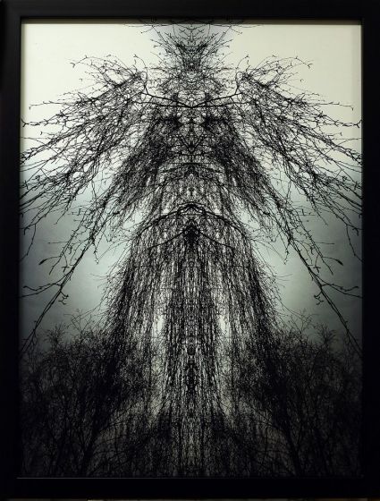Figura Fitomorfa by Claudio Palmieri - Contemporary Artwork