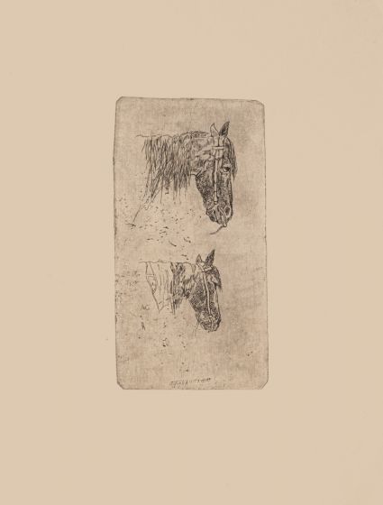  "Horse Head " by Giovanni Fattori - Modern Artwork
