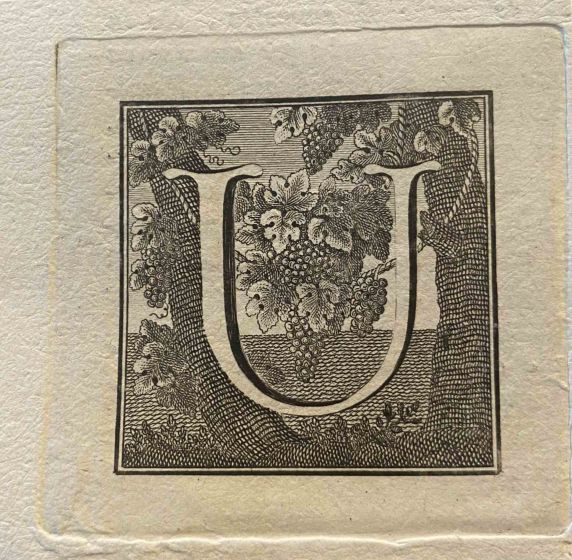 Capital Letter from Ancient Rome