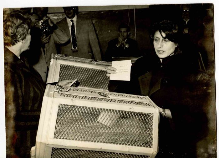 Vintage Portrait of Anna Magnani