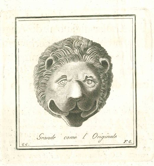 Ancient Lion Head - Vincenzo Campana - Old Masters