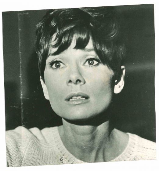 Portrait of Audrey Hepburn - Vintage Photograph