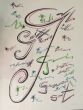 Letter G by Rafael Alberti - Contemporary Artwork