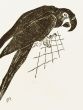 The Parrot by Raymond Brudieux - Modern Artwork