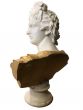 Bust of Apollo by Anonymous Artist - Modern Artwork 
