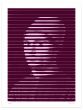Pink Lines by Dadodu - Contemporary Art Print