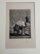 Bull 1946s is an original contemprary artwork realized by Anonymuos artist of the XX Century.