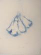 Paulownia Flower by Andrea Fogli -  Contemporary Artworks 