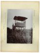 Java - Hochstand in Ploembon by prince Franz Ferdinand von Osterreich Este - Artwork